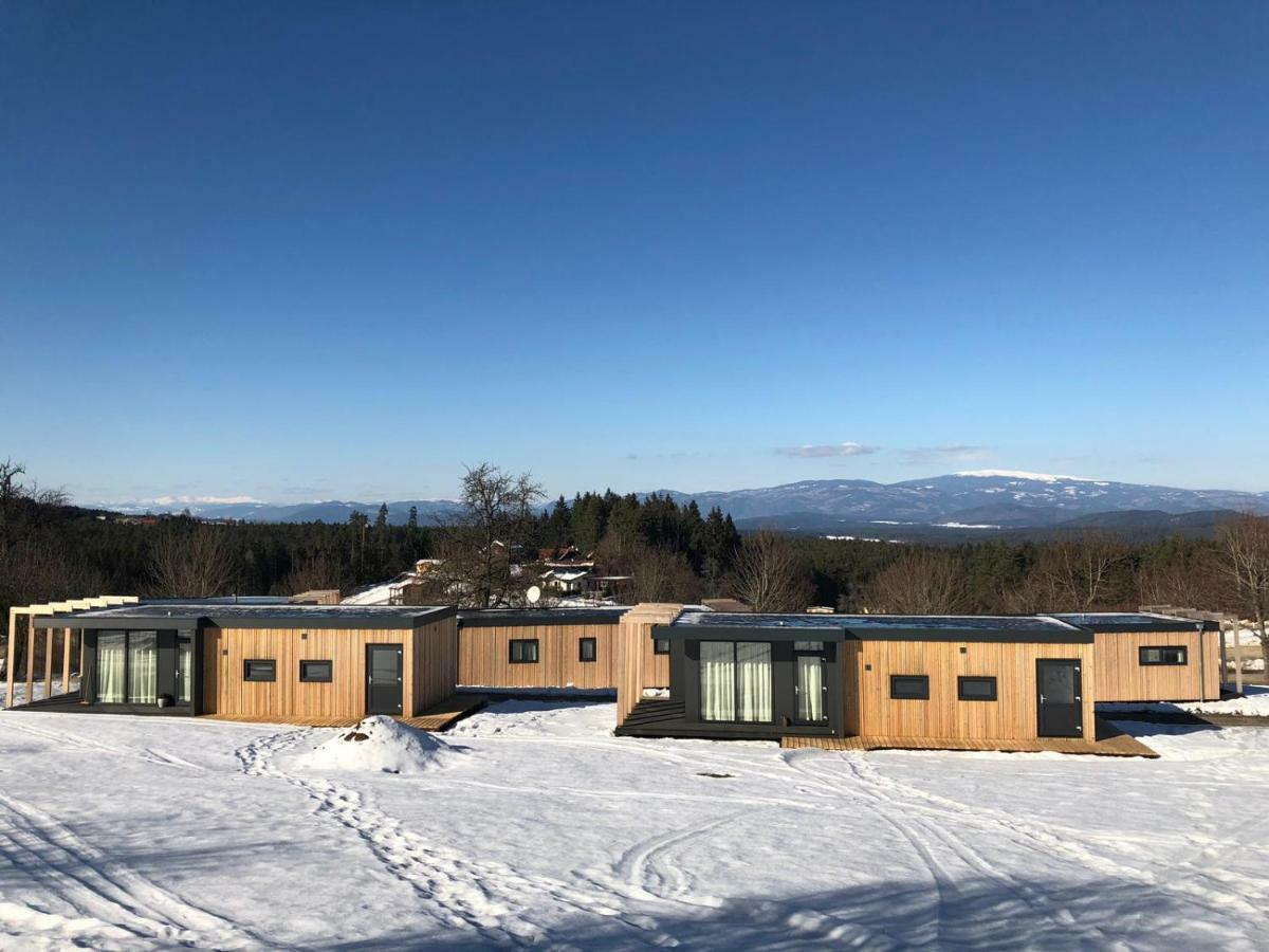 Готель Chaletpark Petzen Feistritz ob Bleiburg Екстер'єр фото