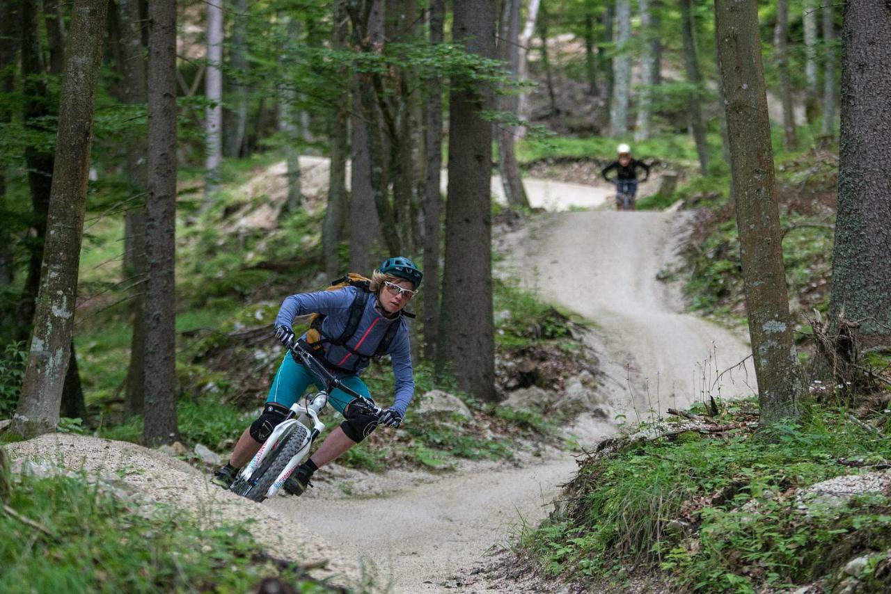 Готель Chaletpark Petzen Feistritz ob Bleiburg Екстер'єр фото