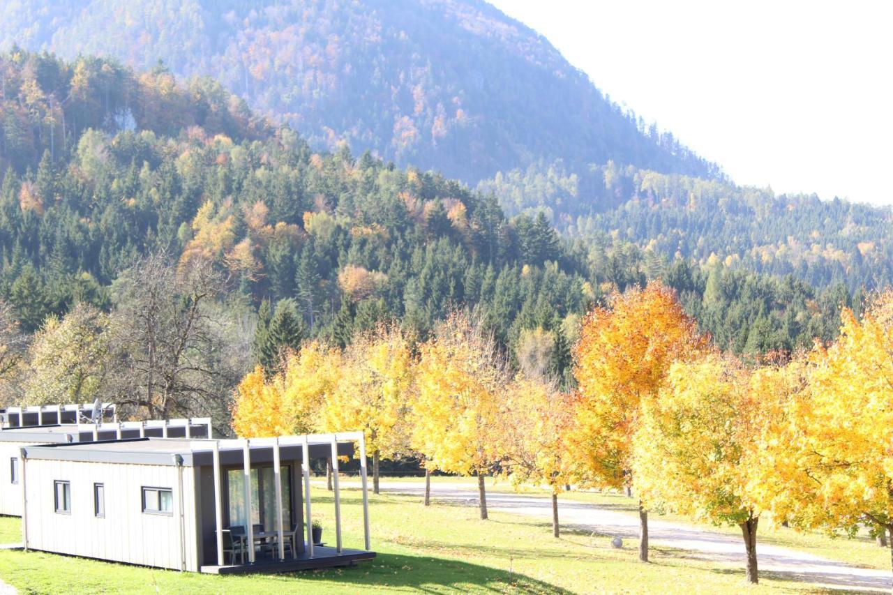 Готель Chaletpark Petzen Feistritz ob Bleiburg Екстер'єр фото