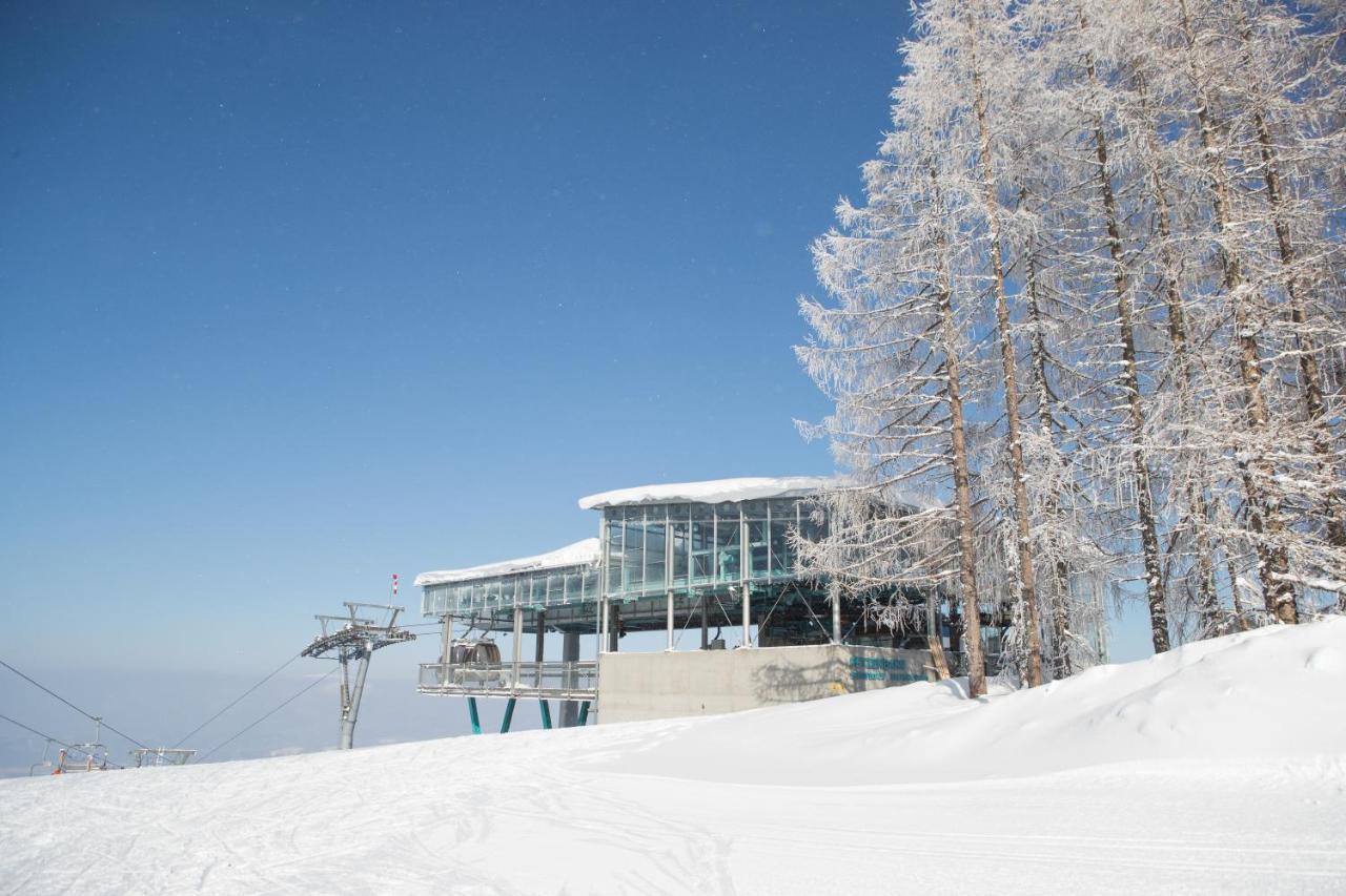 Готель Chaletpark Petzen Feistritz ob Bleiburg Екстер'єр фото